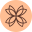 alunara-website.pages.dev favicon